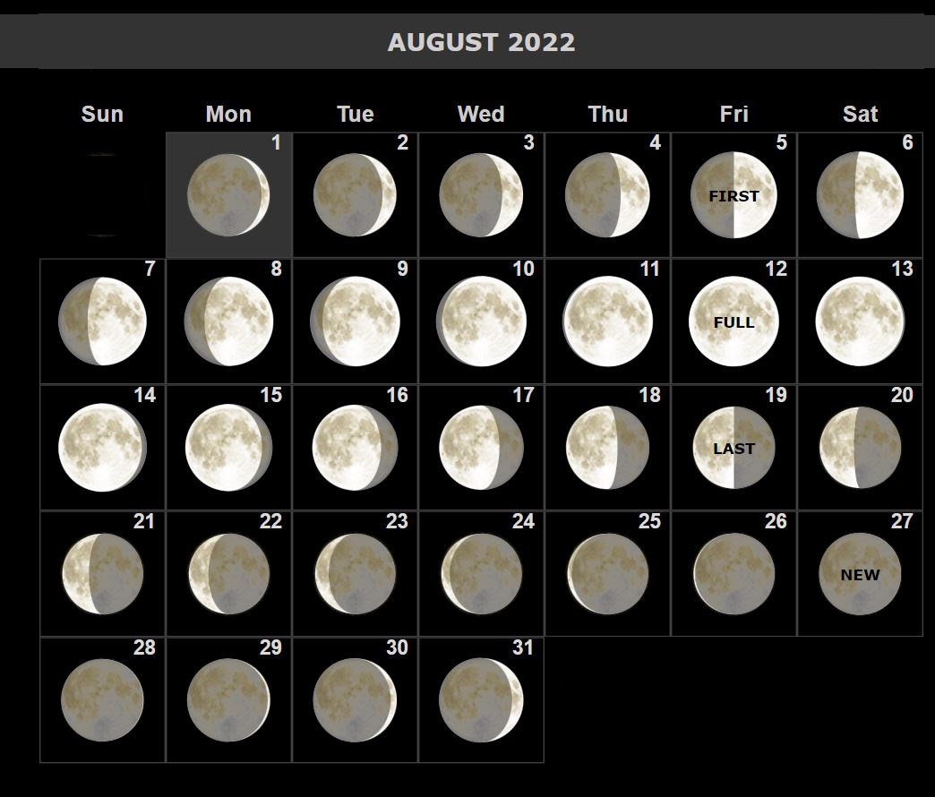 August 2022 Calendar With Holidays Calendar Next